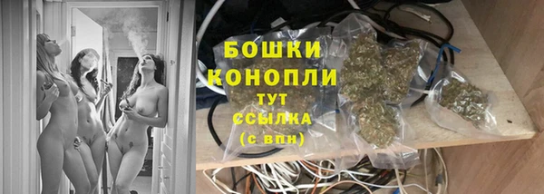 ГАЛЛЮЦИНОГЕННЫЕ ГРИБЫ Белокуриха