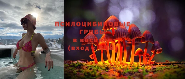 ГАЛЛЮЦИНОГЕННЫЕ ГРИБЫ Белокуриха
