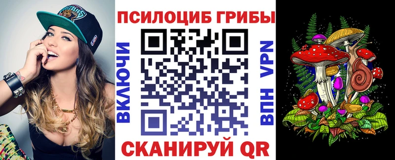 Псилоцибиновые грибы Cubensis  Котовск 